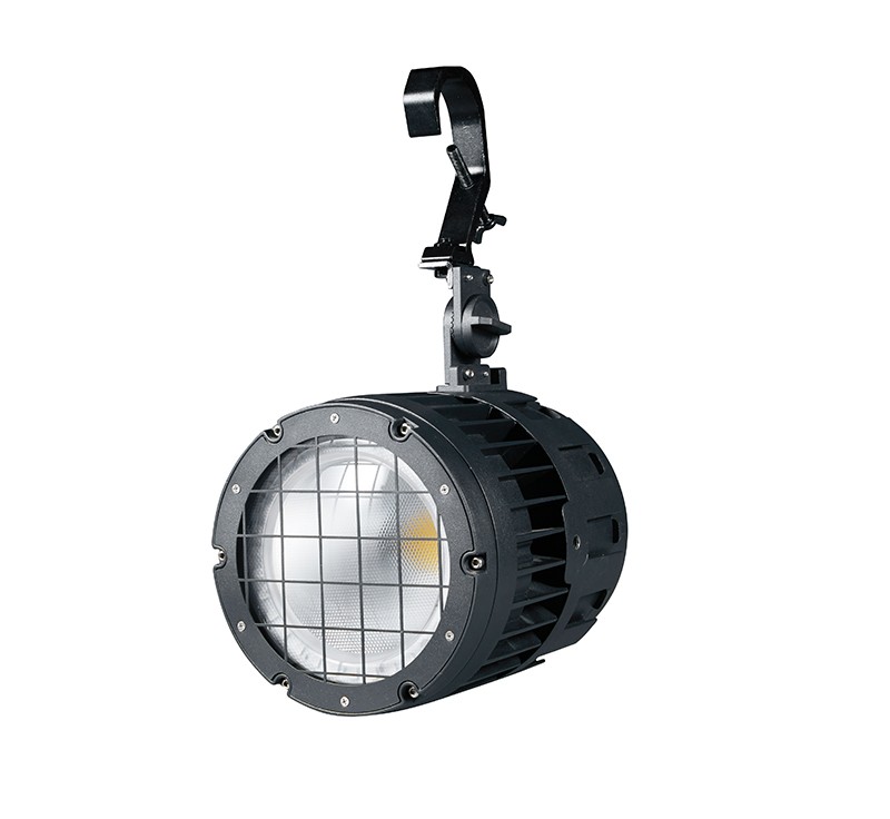 DMON PCF200 Outdoor 200W Waterproof Golden Eye Light
